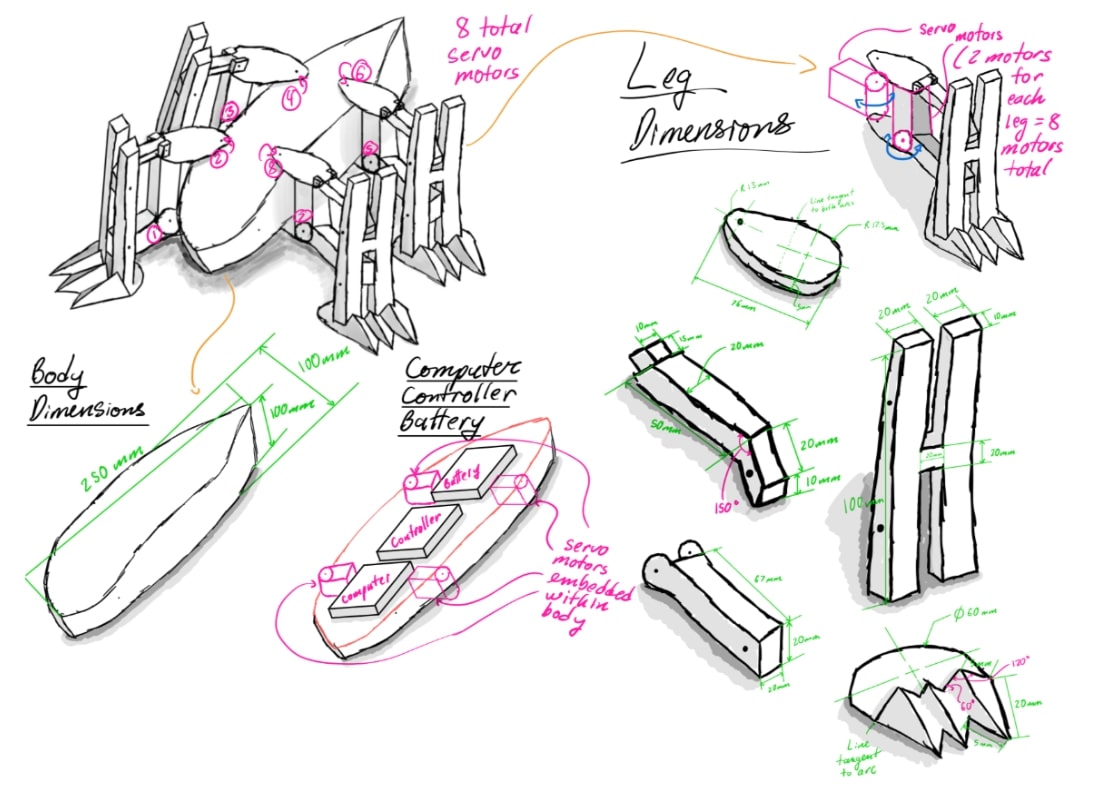 Techo Gecko Secondary Sketch